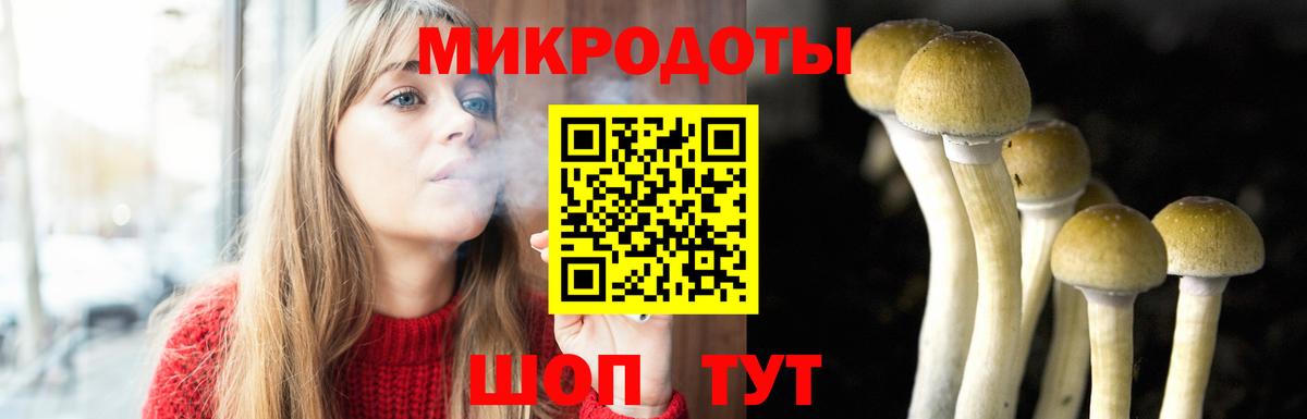 Галлюциногенные грибы Magic Shrooms Советск