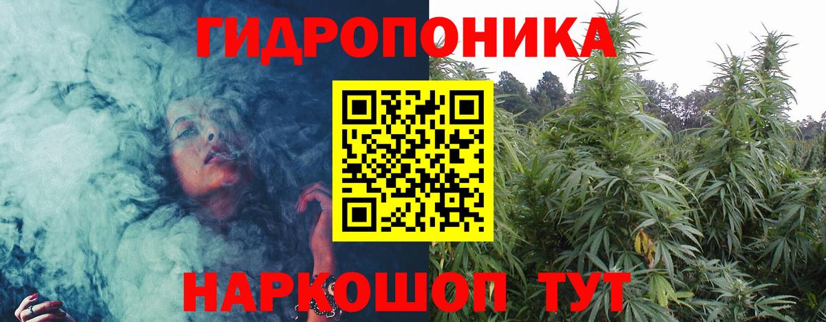 Бошки Шишки планчик  Марихуана гибрид  Вход с VPN  Советск  Конопля ГИДРОПОН 